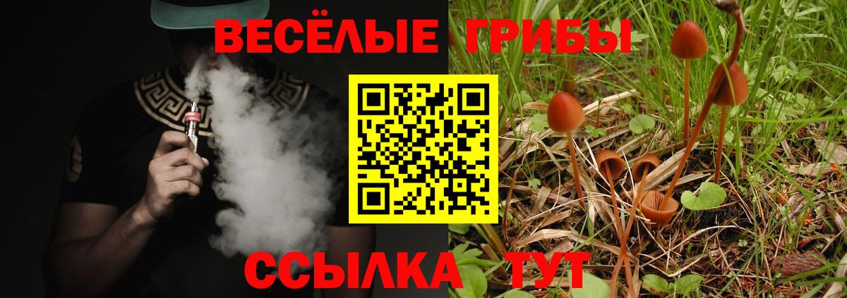 Галлюциногенные грибы мицелий Томск